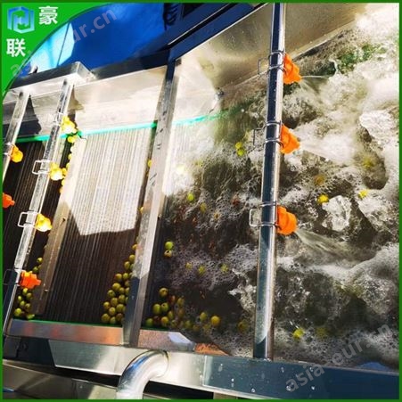 果蔬气泡喷淋清洗机 全自动洗菜机 豪联净菜加工成套设备